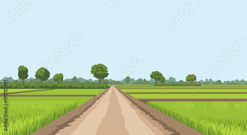 A rural landscape illustration featuring a dirt road extending through vibrant green rice fields under a clear blue sky.