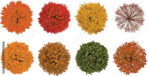 autumn tree top view collection fall foliage seasonal canopy nature forest illustration vector colorful leaves