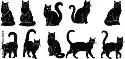 black cat silhouette collection feline animal pet vector illustration minimal design elegant isolated graphic domestic mammal poses