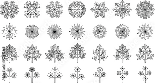 botanical ornament collection floral mandala leaves flowers lineart illustration vector design decorative symmetry nature