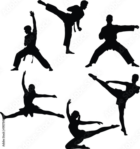 Webmartial,arts,silhouettes,karate,taekwondo,action,poses,training,fitness,flexibility,self,defense,athletes,sport,movement,illustration,black,people,balance,power