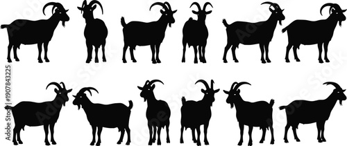 Black goat silhouettes set isolated on white background featuring various farm animal poses perfect for agriculture design livestock logos posters prints vector illustration