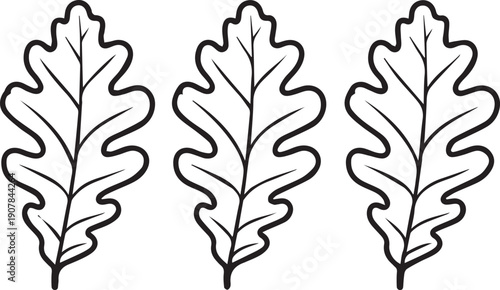 Three black and white oak leaf illustrations
