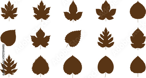 Collection of brown leaves on white background