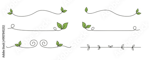 Elegant leafy decorative dividers for nature-inspired design