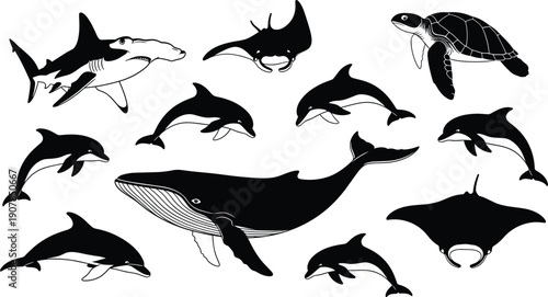 Large collection of hand drawn black sea animal silhouettes featuring blue whales, dolphins, hammerhead sharks, manta rays, and turtles for elegant marine wildlife nature design projects