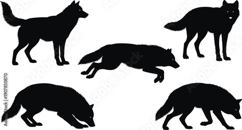 Large collection of hand drawn black wolf silhouettes featuring various wild predatory canines in standing, running, and hunting poses for elegant nature wildlife design projects