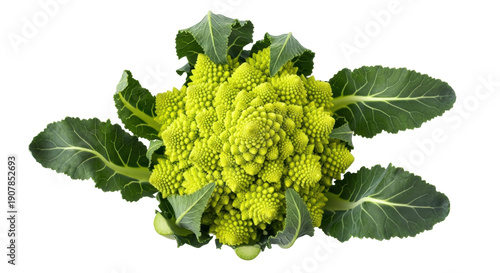 Bilde på lerret Vibrant romanesco broccoli isolated PNG, fractal vegetable with green leaves on