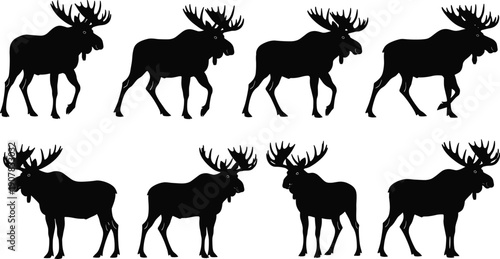 Set of moose silhouette icons in walking and standing poses, wild forest animal vector collection for wildlife logos, hunting graphics, and nature designs