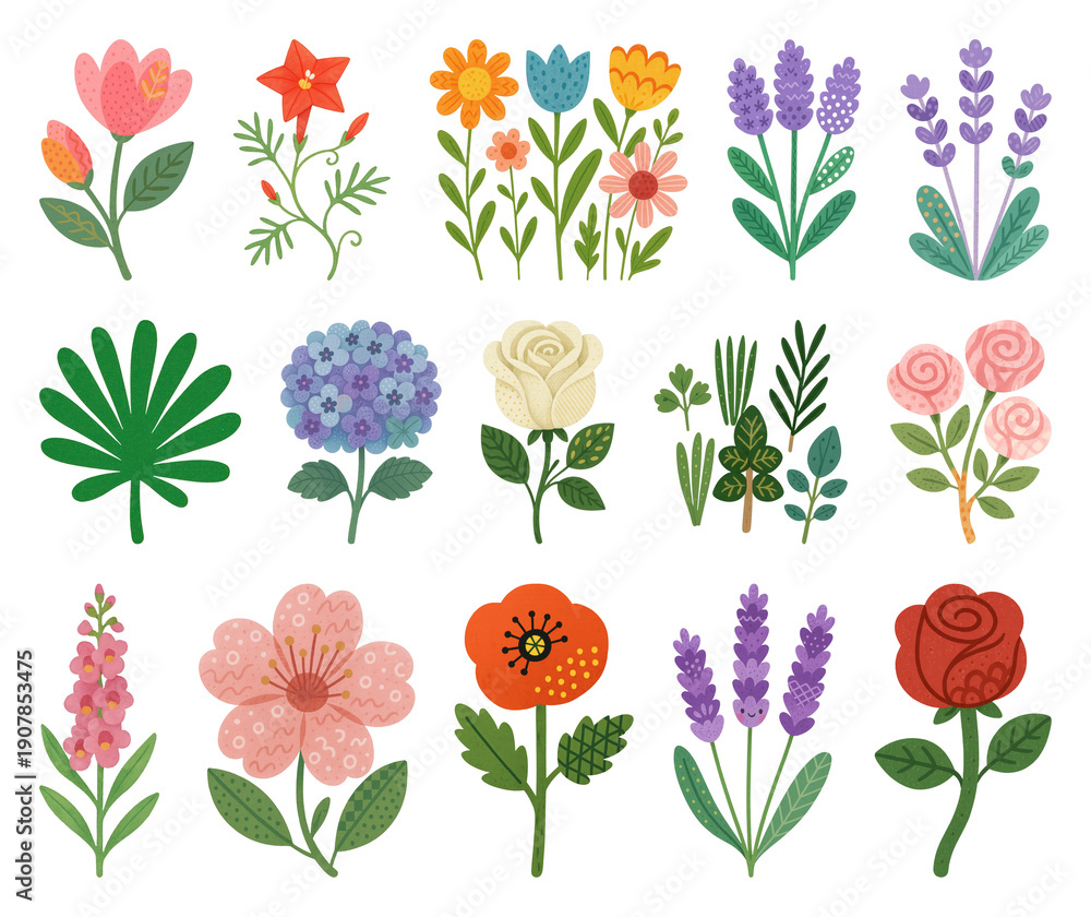 Fototapeta premium PNG Colorful floral illustration collection, transparent background
