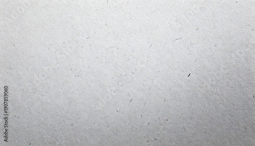 Clean White Cardboard Texture