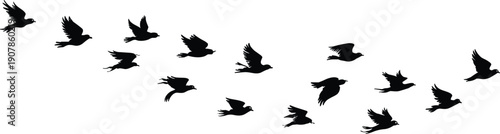 Flying birds silhouette flock, birds in flight sky nature freedom migration black flat vector illustration design minimal wildlife background art
