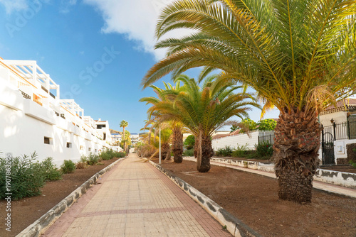 Tenerife, Los Cristianos town street, Canary islands, Spain