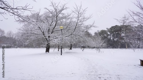 Wallpaper Mural Snow Falling Over a Peaceful Park in Tokyo City Torontodigital.ca