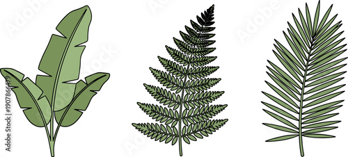 Collection of three distinct green tropical leaves on a white background
