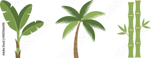 Collection of stylized tropical plants including banana, palm tree, and bamboo