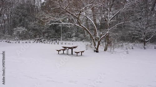 Wallpaper Mural Snow Falling Over a Peaceful Park in Tokyo City Torontodigital.ca