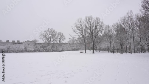 Wallpaper Mural Snow Falling Over a Peaceful Park in Tokyo City Torontodigital.ca