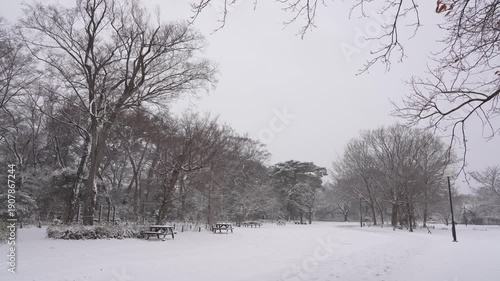 Wallpaper Mural Snow Falling Over a Peaceful Park in Tokyo City Torontodigital.ca