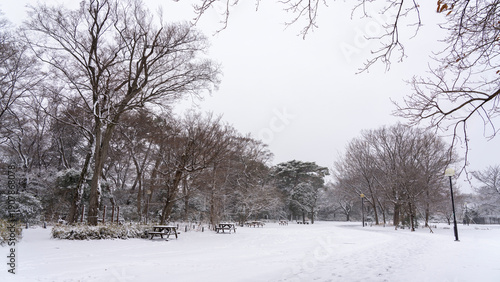 Wallpaper Mural Snow Falling Over a Peaceful Park in Tokyo City Torontodigital.ca