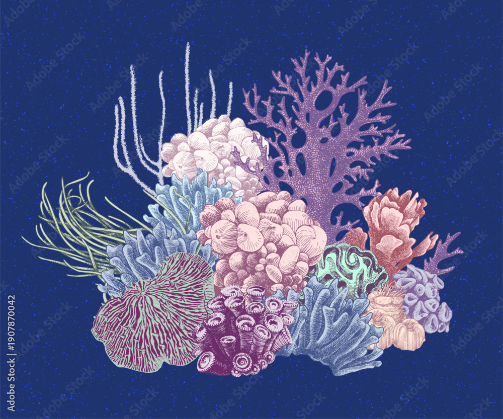 custom made wallpaper toronto digitalHand drawn coral reef. Underwater life sketch