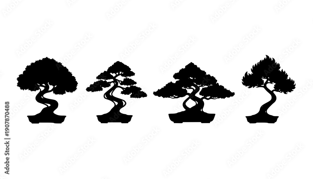 Obraz premium Bonsai Tree