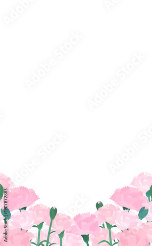 薄ピンクカーネーションの背景透過フレーム_下_縦