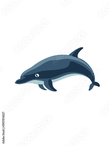 playful dolphin jumping high on white canvas