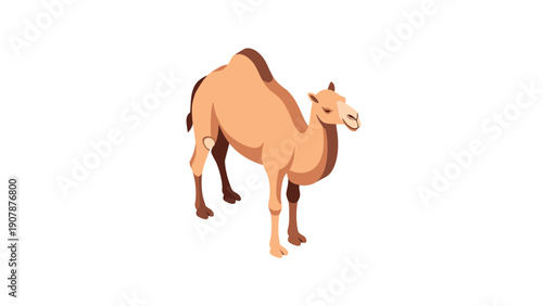 Colorful isometric camel on white background