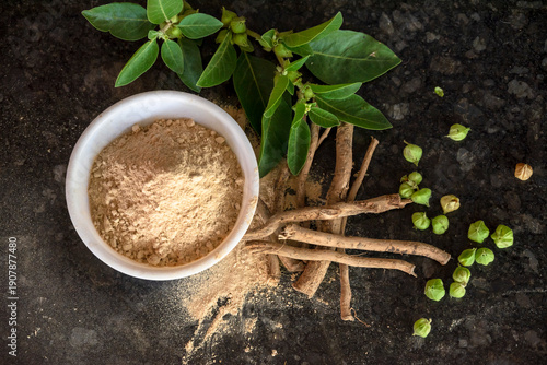 Withania Somnifera , Aswaganda OR Indian Ginseng is an Ayurveda medicine in stem and powder, roots form. Isolated on plain background