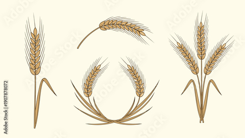Detailed hand drawn sketches of wheat stalks and circular wreaths representing harvest agriculture and organic food products in a rustic style.