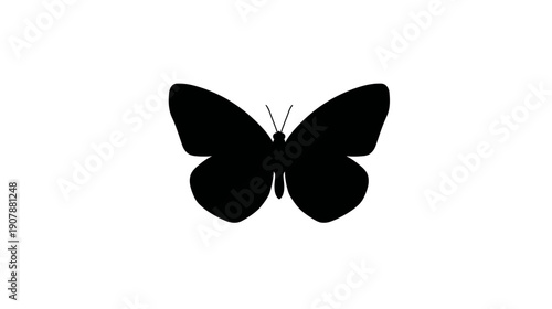 A symmetrical, black butterfly silhouette is centered against a clean white background