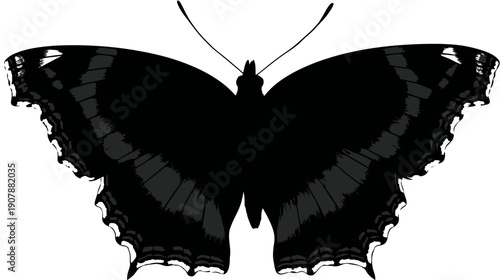 A symmetrical, stylized illustration of a butterfly in shades of black, gray, and white on a plain background