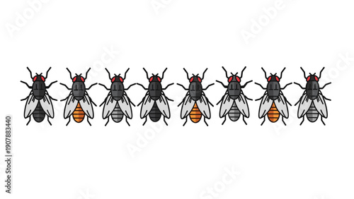 Graphic illustration featuring a row of eight house fly icons with various body colors for biology, science, hygiene, and pest control themes.