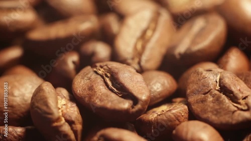 coffee beans background