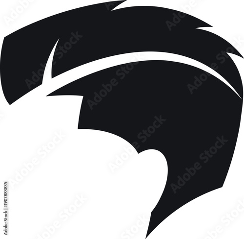 silhouette of a woman