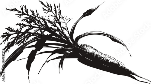 Monochrome illustration of a carrot with detailed leaves and stem, against a white background