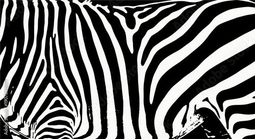 A close-up view of the intricate black and white striped pattern on a zebra's body, showcasing the natural design and texture.