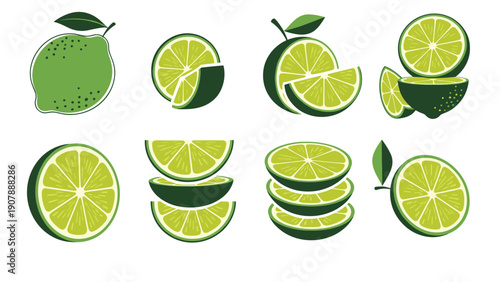 Assortment of fresh lime fruits and slices in different arrangements including halves, wedges, and stacks for citrus food illustrations.