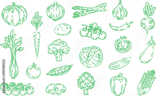 A collection of hand-drawn, doodle-style line drawings of vegetables, featuring various common vegetables. Suitable for healthy recipe covers, kindergarten nutrition curriculum teaching aids