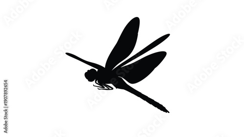 Solid black silhouette of a dragonfly with detailed wings on a clean white background represents elegance and transformation.