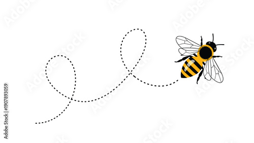 Detailed honey bee flying with a dashed flight path against a white background illustrates pollination and garden activity.