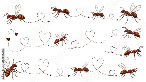 Set of many cute cartoon ants walking or flying with heart shaped dashed trails expressing a sense of community and love.