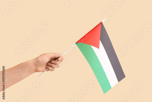 Female hand with flag of Pa...