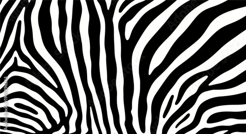 Close-up view of black and white zebra stripes showing natural animal pattern.
