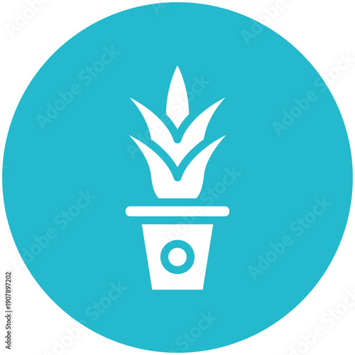 Aloe Vera Icon