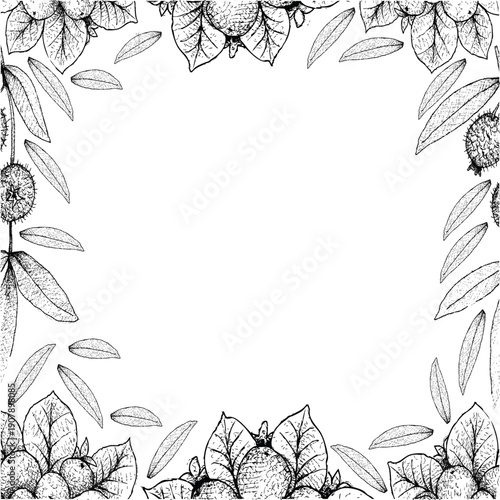 Hand drawn black and white illustration framing a central empty space with spiky fruit clusters and various detailed leaves creating a natural botanical border design perfect for invitations or announ