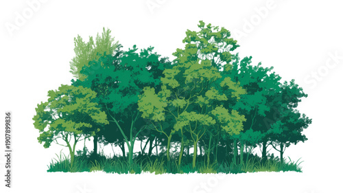 A vibrant illustration of a dense forest with lush green foliage and grass, showcasing the beauty of nature's canopy