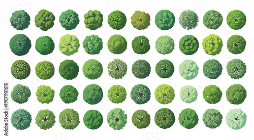 Variety of green plants on display