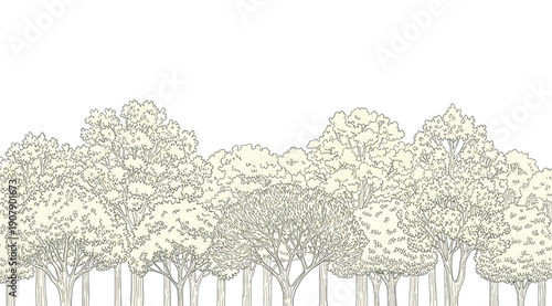 A row of trees with white blossoms on a plain background